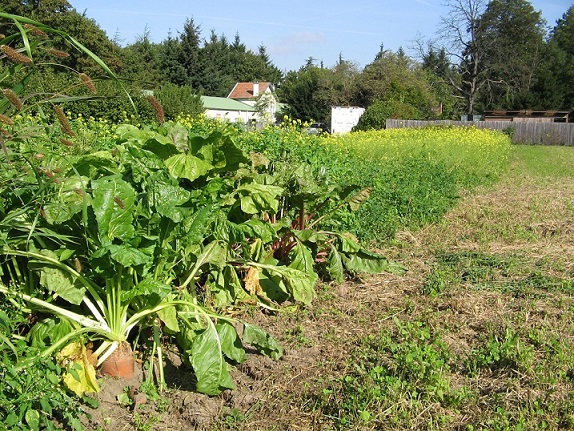 ateliers-jardinage-ecologique-enfants-ferme-paris