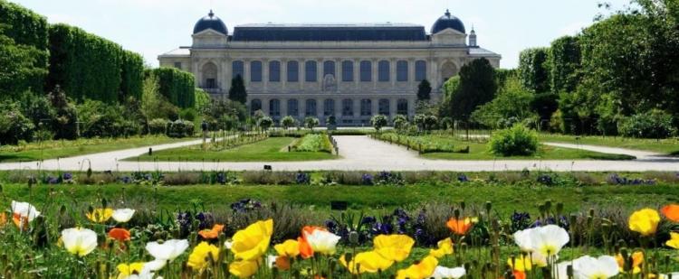 jardin-plantes-zoo-galerie-evolution-paris-museum-sortir-75-visite-famille-enfants