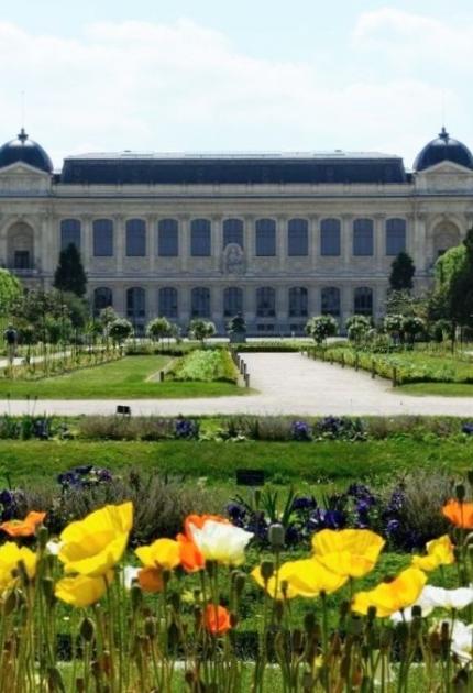 jardin-plantes-zoo-galerie-evolution-paris-museum-sortir-75-visite-famille-enfants