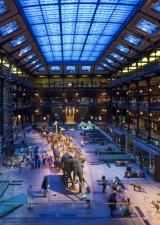 grande-galerie-evolution-jardin-plantes-paris-sortir-75-famille-enfants-loisirs-visite