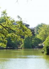 parc-montsouris-lac-balade-famille-paris-idee-sortie-enfants-75